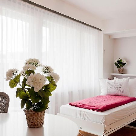 Apartment Double Room-1 By Interhome Ascona Ngoại thất bức ảnh